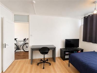 Picture 12